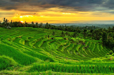 UBUD-TOUR4.jpg